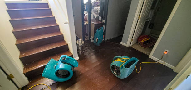 Best Water damage restoration company  in Lake Mohawk, NJ