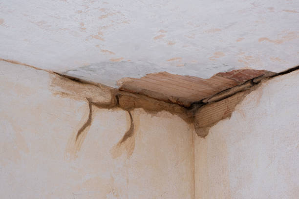 Best Water damage restoration near me  in Lake Mohawk, NJ