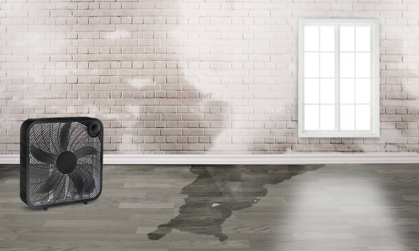 Best 24/7 water damage repair  in Lake Mohawk, NJ