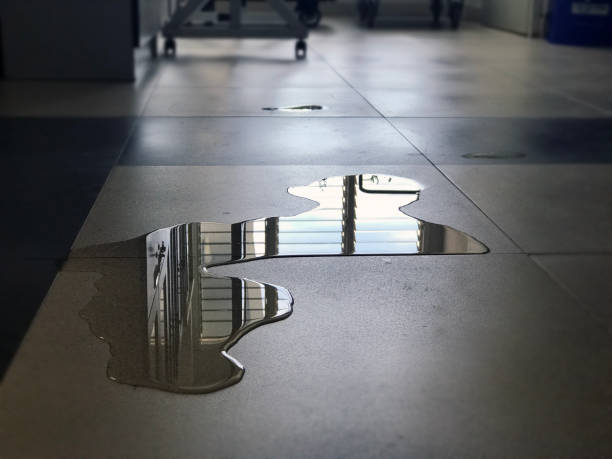 Best Water damage cleanup near me  in Lake Mohawk, NJ