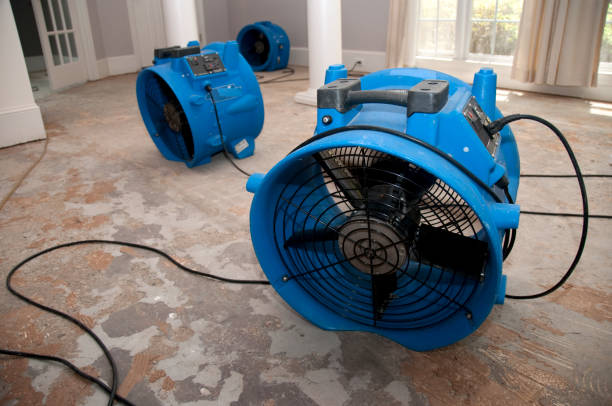 Best Professional water damage repair  in Lake Mohawk, NJ