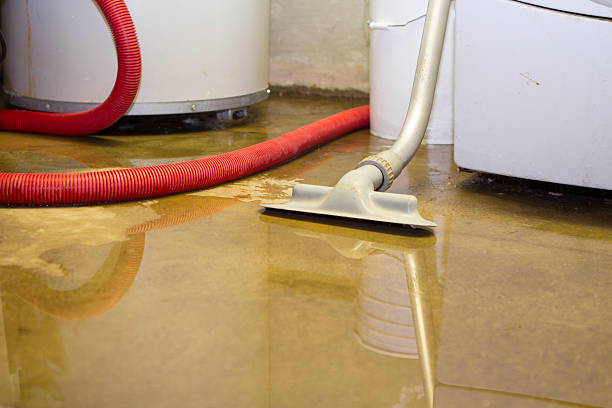 Best Ceiling water damage repair  in Lake Mohawk, NJ